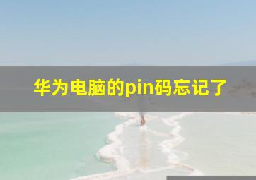 华为电脑的pin码忘记了