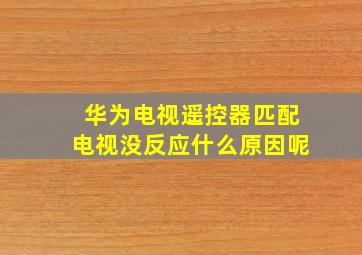 华为电视遥控器匹配电视没反应什么原因呢