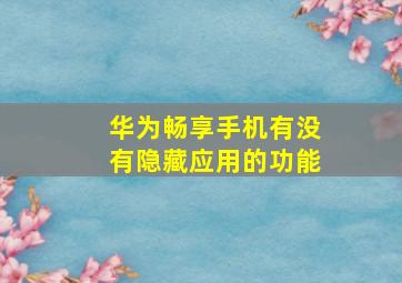 华为畅享手机有没有隐藏应用的功能