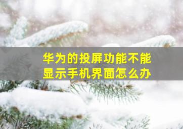 华为的投屏功能不能显示手机界面怎么办