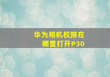 华为相机权限在哪里打开P30