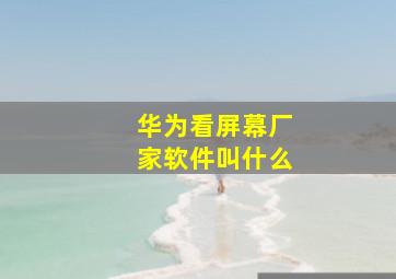 华为看屏幕厂家软件叫什么