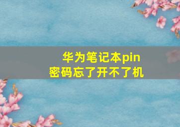 华为笔记本pin密码忘了开不了机