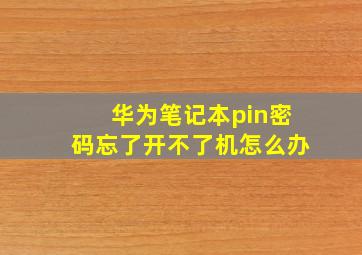 华为笔记本pin密码忘了开不了机怎么办