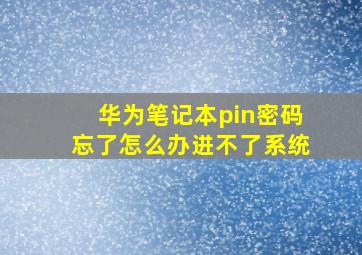 华为笔记本pin密码忘了怎么办进不了系统