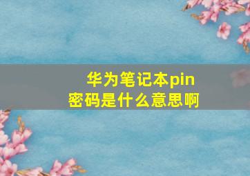 华为笔记本pin密码是什么意思啊