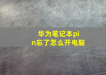 华为笔记本pin忘了怎么开电脑