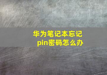 华为笔记本忘记pin密码怎么办