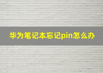 华为笔记本忘记pin怎么办