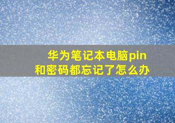 华为笔记本电脑pin和密码都忘记了怎么办