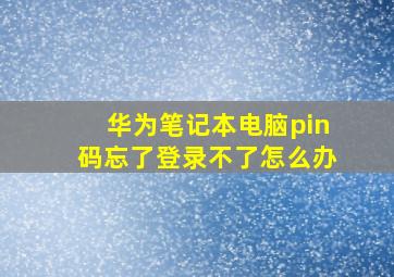 华为笔记本电脑pin码忘了登录不了怎么办