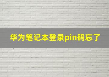 华为笔记本登录pin码忘了