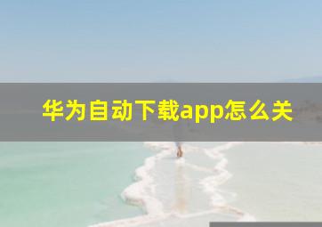 华为自动下载app怎么关