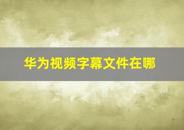 华为视频字幕文件在哪