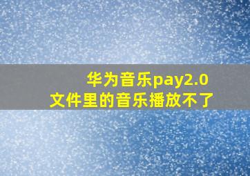 华为音乐pay2.0文件里的音乐播放不了