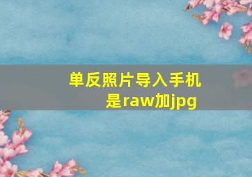 单反照片导入手机是raw加jpg