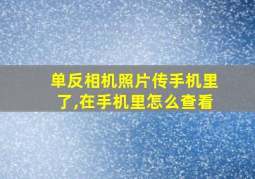 单反相机照片传手机里了,在手机里怎么查看