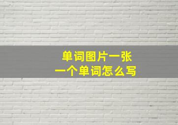 单词图片一张一个单词怎么写