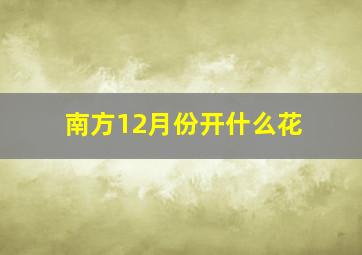 南方12月份开什么花