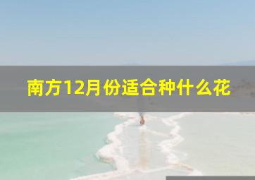 南方12月份适合种什么花