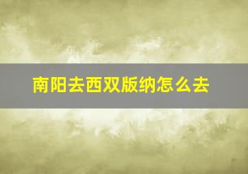 南阳去西双版纳怎么去