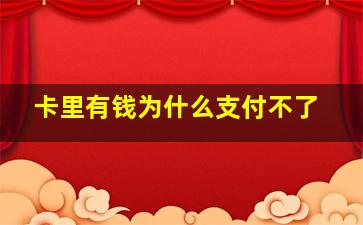 卡里有钱为什么支付不了