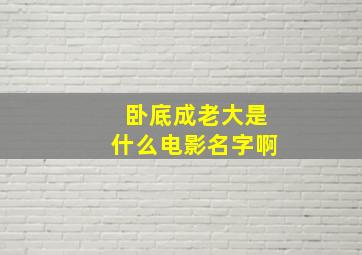 卧底成老大是什么电影名字啊