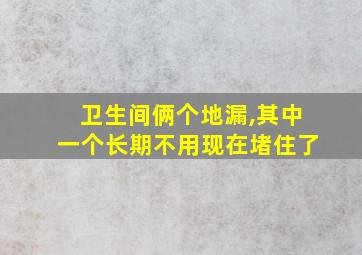 卫生间俩个地漏,其中一个长期不用现在堵住了