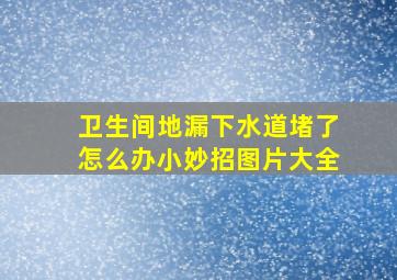 卫生间地漏下水道堵了怎么办小妙招图片大全