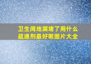 卫生间地漏堵了用什么疏通剂最好呢图片大全