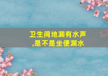 卫生间地漏有水声,是不是坐便漏水