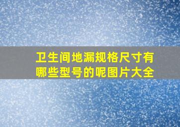 卫生间地漏规格尺寸有哪些型号的呢图片大全