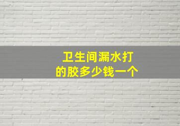 卫生间漏水打的胶多少钱一个