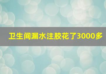 卫生间漏水注胶花了3000多