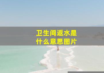 卫生间返水是什么意思图片