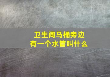 卫生间马桶旁边有一个水管叫什么