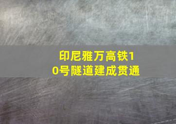 印尼雅万高铁10号隧道建成贯通