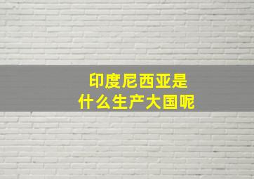 印度尼西亚是什么生产大国呢