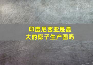 印度尼西亚是最大的椰子生产国吗