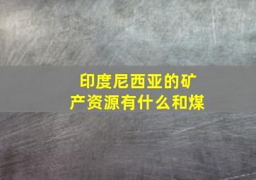 印度尼西亚的矿产资源有什么和煤