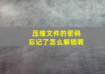 压缩文件的密码忘记了怎么解锁呢