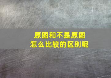 原图和不是原图怎么比较的区别呢