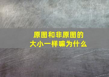 原图和非原图的大小一样嘛为什么