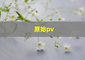 原始pv