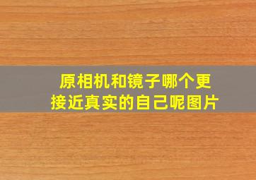 原相机和镜子哪个更接近真实的自己呢图片