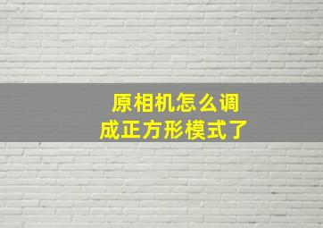 原相机怎么调成正方形模式了