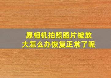 原相机拍照图片被放大怎么办恢复正常了呢