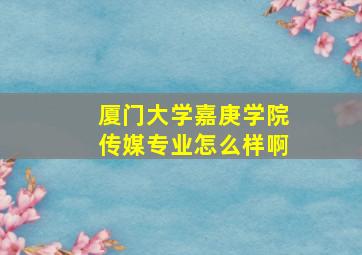 厦门大学嘉庚学院传媒专业怎么样啊