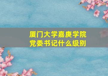 厦门大学嘉庚学院党委书记什么级别