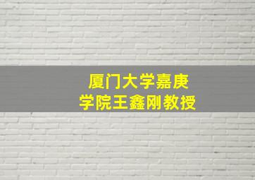 厦门大学嘉庚学院王鑫刚教授